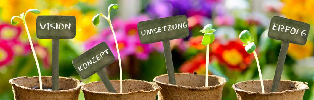 4 Blumentöpfe mit je einem Pflanzentrieb und einem Schild mit den Aufschriften Vision, Konzept, Umsetzung und Erfolg